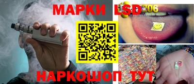 мдпв Бердск