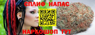 мдпв Бердск
