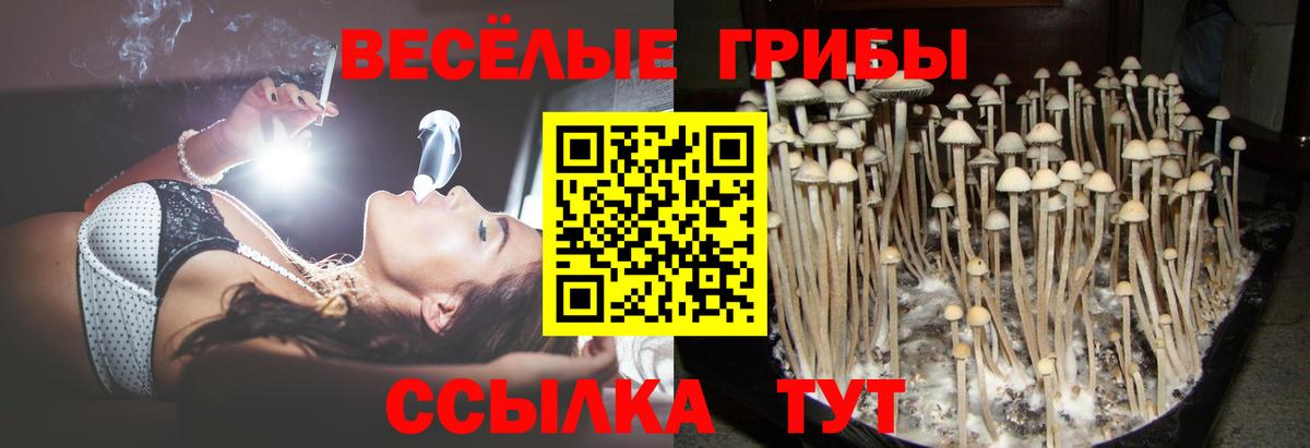Псилоцибиновые грибы ЛСД Белово